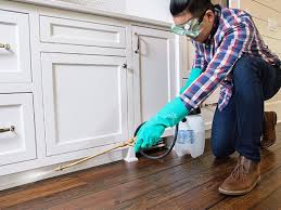 Best Pest Prevention Services  in Thomaston, NY